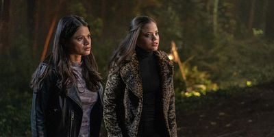 Pôster de The Truth about Kat and Dogs