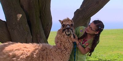 Pôster de People Auction