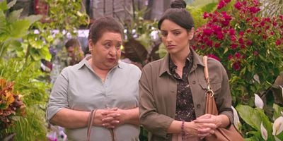 Pôster de DAHLIA (symb. gratitude)