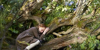 Pôster de Sou livre e nada me prende