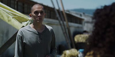 Pôster de Cuatro tumbas