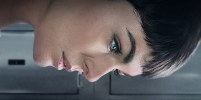 Pôster de Cachorro Preto