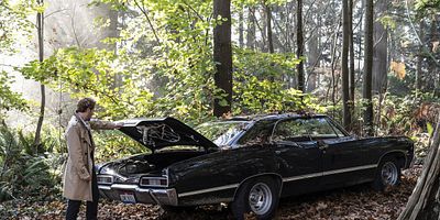 Pôster de Zari, Not Zari