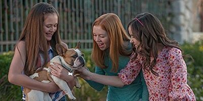 Pôster de Just Add Dogs