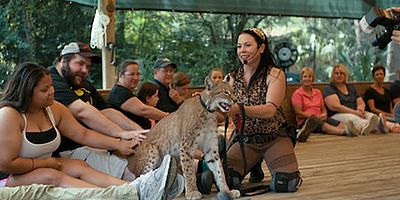 Pôster de Culto da personalidade