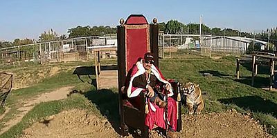 Pôster de Destronado