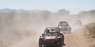 Pôster de The Beach (Buggy) Boys - Part 2