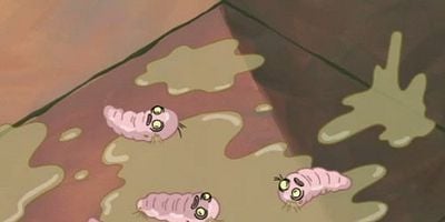 Pôster de Pet or Pests / Komputer Overload