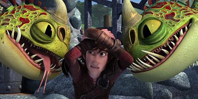 Pôster de The Zippleback Experience