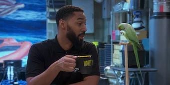 Pôster de Weed of Fortune