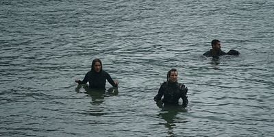 Pôster de The Garden