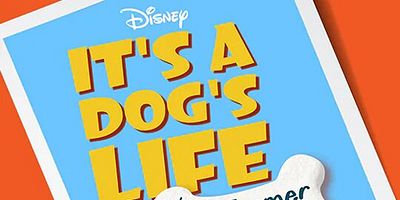 Pôster de Whale Poop Dogs & Sheep Herding Dogs