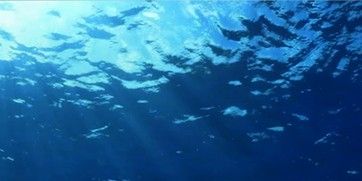 Pôster de Fernando de Noronha