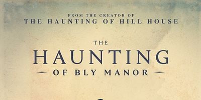 Pôster de The Way It Came