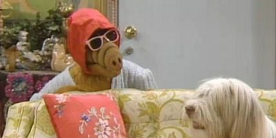 Pôster de You Ain't Nothin' But a Hound Dog