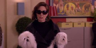 Pôster de Cohen And Donavan