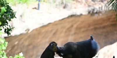 Pôster de Family Matters