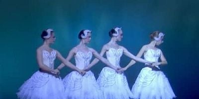 Pôster de Perfection