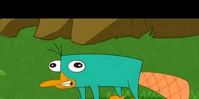 Pôster de Perry the Actorpus