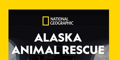 Pôster de Fly Like an Eagle