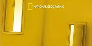 Pôster de Common Sense