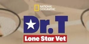 Pôster de The Terrible Turkey Trot