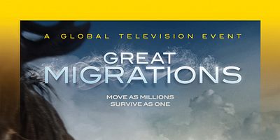 Pôster de Born to Move