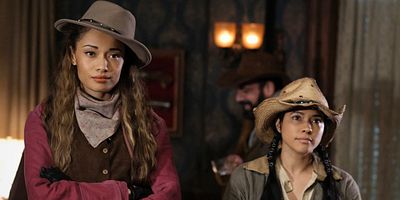 Pôster de Stressed Western