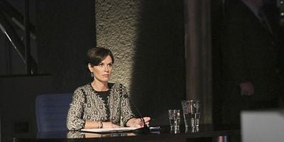 Pôster de More Cattle, Less Bull