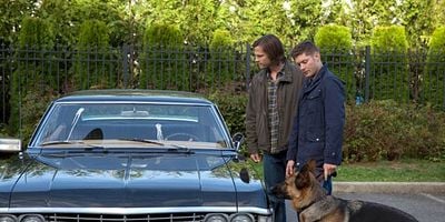 Pôster de Dog Dean Afternoon