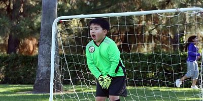 Pôster de Cold File