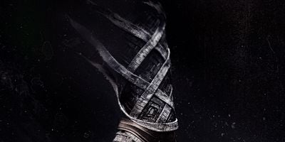 Pôster de O Problema do Peixe Dourado