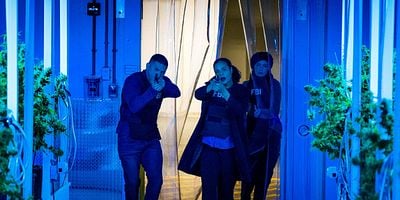 Pôster de Decriminalized