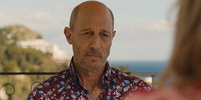 Pôster de Bull Elephants