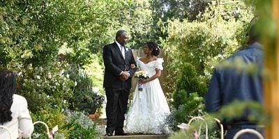 Pôster de Wedding Bell Blues