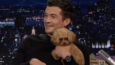 Imagem da notícia Orlando Bloom, pai de pet: "Meu cachorro é maravilhoso, ele me ajuda a manter os pés no chão e traz calma ao meu dia a dia"