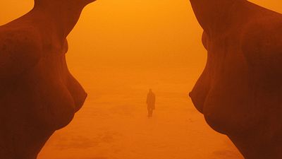 Imagem da notícia Duna 2 se torna maior filme de Denis Villeneuve, mas 2º lugar tem pontuação quase perfeita e elenco de estrelas