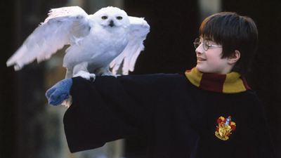 Harry Potter deveria ter sido reprovado em Hogwarts seu primeiro ano: Este detalhe de A Pedra Filosofal explica e quase ninguém reparou