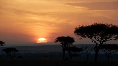 Imagem da notícia Grande clássico da Disney será exibido pela Globo; confira a programação da emissora para o fim de semana