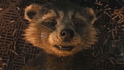 Imagem da notícia Guardiões da Galáxia Vol. 3 ainda nem estreou e já vai te fazer chorar: entenda por que Rocket ganhou o seu nome