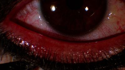 Imagem da notícia Os melhores filmes de terror da história, de acordo com Quentin Tarantino: 4 filmes recomendados pelo diretor de Kill Bill