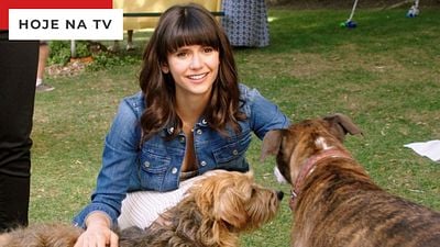 Imagem da notícia Nossa Vida com Cães na Sessão da Tarde (27/12): Filme tem atores de Stranger Things e Homem de Ferro 3