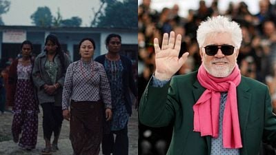 Imagem da notícia Brasil está confirmado no Festival de Cannes 2026: Novo filme de Pedro Almodóvar é destaque; confira a lista
