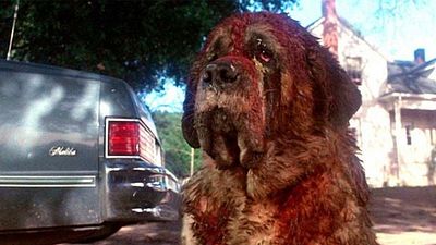 Imagem da notícia Há 42 anos, Stephen King agradeceu pela mudança do final de um de seus livros: "Nunca recebi tantas mensagens de ódio"