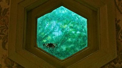 Imagem da notícia Para ver hoje no Prime Video: Filme de suspense assustador com um dos melhores criminosos de 2024