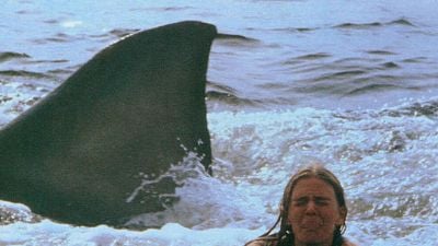 Imagem da notícia Steven Spielberg queria fazer Tubarão 2, mas os produtores rejeitaram sua ideia: O Resgate do Soldado Ryan com tubarões