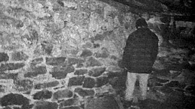 Imagem da notícia "Finalmente está como queríamos": É um clássico do terror e todos assistiram, mas na versão errada (até agora)