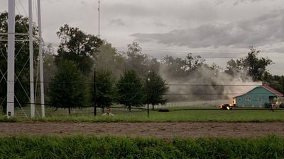 Imagem da notícia No streaming: O filme de ficção científica com o qual Ryan Reynolds falhou antes de protagonizar Deadpool