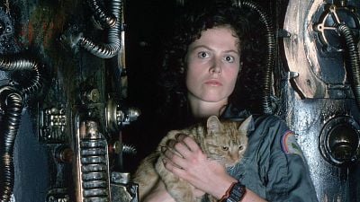 Imagem da notícia "Mudou completamente a minha opinião": Um dos melhores filmes de ficção científica de todos os tempos só existiu graças a Star Wars