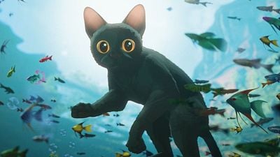 Imagem da notícia Quando Flow estreia no Brasil? Assista ao trailer do filme que venceu Divertida Mente 2 no Globo de Ouro 2025